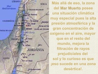 Más allá de eso, la zona
  del Mar Muerto posee
 una situación climática
muy especial pues la alta
 presión atmosférica y la
  gran concentración de
oxígeno en el aire, mayor
    que en el resto del
    mundo, mejora la
    filtración de rayos
     prejudiciales del
  sol y lo curioso es que
¡eso sucede en una zona
         desértica!.
 