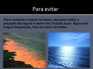 Para evitar                                                                 devemos evitar a poluição das águas e assim elas ficarão azuis. Água azul é água despoluída, livre da maré vermelha. Para combater a maré vermelha,