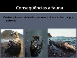 Conseqüências a faunaDestrói a fauna inteira deixando os animais cobertos por petróleo.