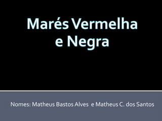 Marés Vermelha   e Negra,[object Object],Nomes: Matheus Bastos Alves  e Matheus C. dos Santos,[object Object]