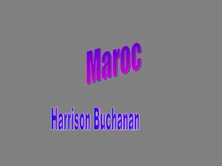 Maroc Harrison Buchanan 