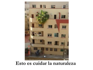 Esto es cuidar la naturaleza 