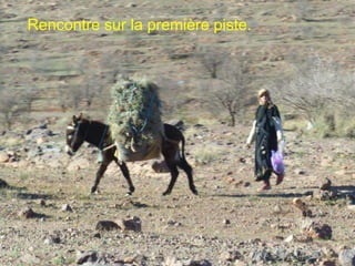 Rencontre sur la première piste.
 