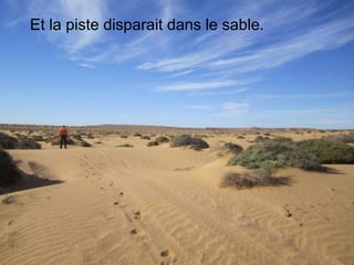 Et la piste disparait dans le sable.
 