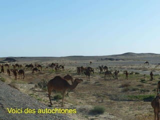 Voici des autochtones.
 