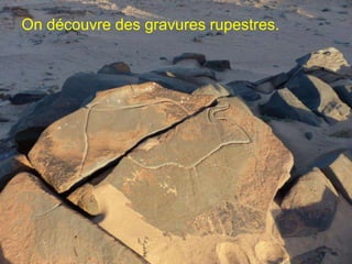 On découvre des gravures rupestres.
 