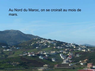 Au Nord du Maroc, on se croirait au mois de
mars.
 