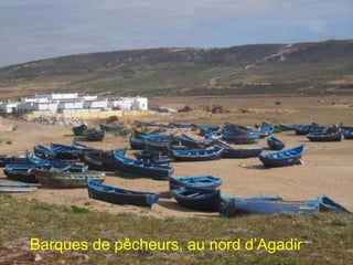 Barques de pêcheurs, au nord d’Agadir
 