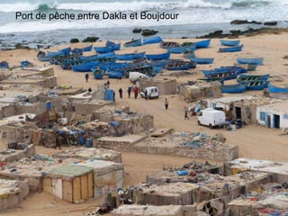 Port de pêche entre Dakla et Boujdour
 