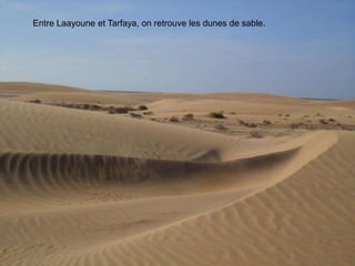 Entre Laayoune et Tarfaya, on retrouve les dunes de sable.
 