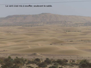 Le vent s’est mis à souffler, soulevant le sable.
 