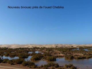 Nouveau bivouac près de l’oued Chebika
 