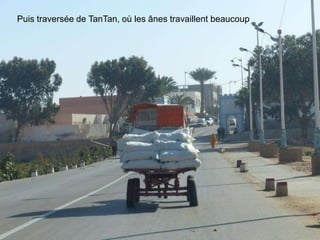 Puis traversée de TanTan, où les ânes travaillent beaucoup
 
