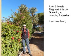 Arrêt à l’oasis
Thigmert, très de
Guelmin, au
camping fort Akbar.
Il est très fleuri,
 