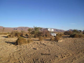 Bivouac
 