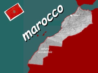 marocco
marocco
 
