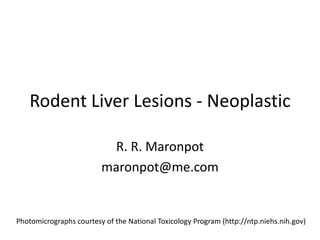 Rodent Liver Lesions - Neoplastic
R. R. Maronpot
maronpot@me.com
Photomicrographs courtesy of the National Toxicology Program (http://ntp.niehs.nih.gov)
 