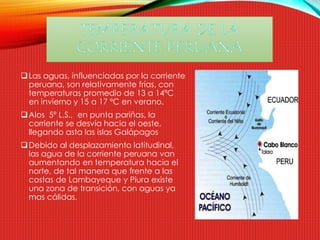 Las aguas, influenciadas por la corriente 
peruana, son relativamente frías, con 
temperaturas promedio de 13 a 14ºC 
en invierno y 15 a 17 ºC en verano. 
Alos 5º L.S., en punta pariñas, la 
corriente se desvía hacia el oeste, 
llegando asta las islas Galápagos 
Debido al desplazamiento latitudinal, 
las agua de la corriente peruana van 
aumentando en temperatura hacia el 
norte, de tal manera que frente a las 
costas de Lambayeque y Piura existe 
una zona de transición, con aguas ya 
mas cálidas. 
 