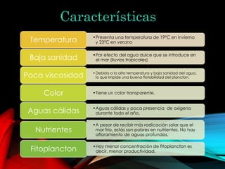 Características 
•Presenta una temperatura de 19ºC en invierno 
y 23ºC en verano Temperatura 
•Por efecto del agua dulce que se introduce en 
el mar (lluvias tropicales) Baja sanidad 
•Debido a la alta temperatura y baja sanidad del agua, 
lo que impide una buena flotabilidad del plancton. Poca viscosidad 
Color •Tiene un color transparente. 
•Aguas cálidas y poca presencia de oxigeno 
durante todo el año. Aguas cálidas 
•A pesar de recibir más radicación solar que el 
mar frio, estás son pobres en nutrientes. No hay 
afloramiento de aguas profundas. 
Nutrientes 
•Hay menor concentración de fitoplancton es 
decir, menor productividad. Fitoplancton 
 