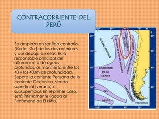 Se desplaza en sentido contrario 
(Norte - Sur) de las dos anteriores 
y por debajo de ellas. Es la 
responsable principal del 
afloramiento de aguas 
profundas, se manifiesta entre los 
40 y los 400m de profundidad. 
Separa la corriente Peruana de la 
corriente Oceánica, siendo 
superficial (verano) o 
subsuperficial. En el primer caso, 
está íntimamente ligada al 
Fenómeno de El Niño. 
 