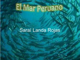 Saraí Landa Rojas 
 