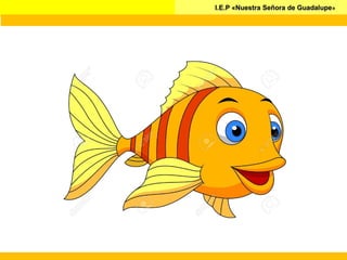 I.E.P «Nuestra Señora de GuadalupeI.E.P «Nuestra Señora de Guadalupe»