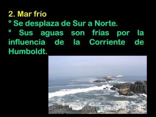2. Mar frío
° Se desplaza de Sur a Norte.
° Sus aguas son frías por la
influencia de la Corriente de
Humboldt.
 