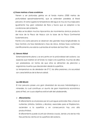 c) Fosas marinas o fosas oceánicas
Vienen a ser profundas grietas en el fondo marino (7000 metros de
profundidad aproximadamente), que se extienden paralelas al litoral
peruano. En estos lugares la temperatura del agua es muy es muy baja pero
igualmente hay gran variedad de flora y fauna que se adaptan a las
condiciones del ambiente.
En ellas se localizan muchos hipocentros de movimientos sísmicos producto
del roce de la Placa de Nazca con la base de la Placa Continental
Sudamericana.
Frente a la costa peruana se observan dos grandes fosas longitudinales: la
fosa Central y la fosa Meridional o fosa de Arica. Ambas fosas conforman
científicamente una sola la cual recibe el nombre de fosa Perú – Chile.
c) Llanura Abisal
Extremadamente plana y se encuentra en la profundidad del océano. Las
especies que habitan en el fondo no viajan a la superficie, muchas de ellas
son predadoras, en tantos de que otros se alimentan de plancton y
organismos muertos que descienden desde la superficie.
La temperatura es de alrededor de 0º C, las altas presiones y la oscuridad
son características de la llanura abisal.
Las 200 MILLAS
El mar peruano posee una gran diversidad de recursos hidrobiológicos y
minerales, lo cual constituye un asunto de gran importancia económica
para el Perú, en cuyos objetivos está el salir del subdesarrollo.
 Afloramientos
El afloramiento es el proceso por el cual aguas profundas frías y ricas en
nutrientes (nitratos, fosfatos y silicatos), esenciales para el fitoplancton,
ascienden a la superficie y en consecuencia hay una alta
productividad.
El afloramiento puede ocurrir por diversas causas, siendo una de las más
frecuentes los vientos en la superficie del océano.
 