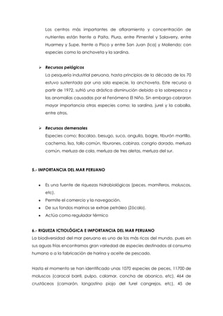 Los centros más importantes de afloramiento y concentración de
nutrientes están frente a Paita, Piura, entre Pimentel y Salaverry, entre
Huarmey y Supe, frente a Pisco y entre San Juan (Ica) y Moliendo; con
especies como la anchoveta y la sardina.
 Recursos pelágicos
La pesquería industrial peruana, hasta principios de la década de los 70
estuvo sustentada por una sola especie, la anchoveta. Este recurso a
partir de 1972, sufrió una drástica disminución debido a la sobrepesca y
las anomalías causadas por el Fenómeno El Niño. Sin embargo cobraron
mayor importancia otras especies como; la sardina, jurel y la caballa,
entre otros.
 Recursos demersales
Especies como; Bacalao, besugo, suco, anguila, bagre, tiburón martillo,
cachema, lisa, tollo común, tiburones, cabinza, congrio dorado, merluza
común, merluza de cola, merluza de tres aletas, merluza del sur.
5.- IMPORTANCIA DEL MAR PERUANO
Es una fuente de riquezas hidrobiológicas (peces, mamíferos, moluscos,
etc).
Permite el comercio y la navegación.
De sus fondos marinos se extrae petróleo (Zócalo).
Actúa como regulador térmico
6.- RIQUEZA ICTIOLÓGICA E IMPORTANCIA DEL MAR PERUANO
La biodiversidad del mar peruano es uno de los más ricos del mundo, pues en
sus aguas frías encontramos gran variedad de especies destinados al consumo
humano o a la fabricación de harina y aceite de pescado.
Hasta el momento se han identificado unas 1070 especies de peces, 11700 de
moluscos (caracol barril, pulpo, calamar, concha de abanico, etc), 464 de
crustáceos (camarón, langostino piojo del furel cangrejos, etc), 45 de
 