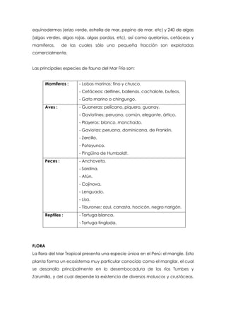 equinodermos (erizo verde, estrella de mar, pepino de mar, etc) y 240 de algas
(algas verdes, algas rojas, algas pardas, etc), así como quelonios, cetáceos y
mamíferos, de las cuales sólo una pequeña fracción son explotadas
comercialmente.
Las principales especies de fauna del Mar Frío son:
Mamíferos : - Lobos marinos: fino y chusco.
- Cetáceos: delfines, ballenas, cachalote, bufeos.
- Gato marino o chingungo.
Aves : - Guaneras: pelícano, piquero, guanay.
- Gaviotines: peruano, común, elegante, ártico.
- Playeros: blanco, manchado.
- Gaviotas: peruana, dominicana, de Franklin.
- Zarcillo.
- Potoyunco.
- Pingüino de Humboldt.
Peces : - Anchoveta.
- Sardina.
- Atún.
- Cojinova.
- Lenguado.
- Lisa.
- Tiburones: azul, canasta, hocicón, negro narigón.
Reptiles : - Tortuga blanca.
- Tortuga tinglada.
FLORA
La flora del Mar Tropical presenta una especie única en el Perú: el mangle. Esta
planta forma un ecosistema muy particular conocido como el manglar, el cual
se desarrolla principalmente en la desembocadura de los ríos Tumbes y
Zarumilla, y del cual depende la existencia de diversos moluscos y crustáceos.
 