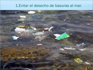 1.Evitar el desecho de basuras al mar.
 