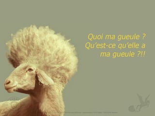 Marque subjective-dresscode-se-differencier-pour-performer