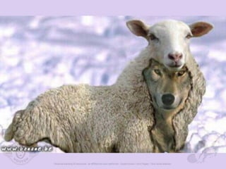 Marque subjective-dresscode-se-differencier-pour-performer