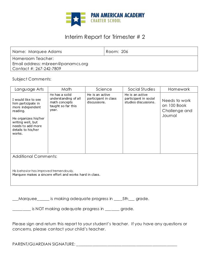interim report template