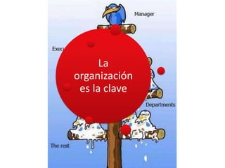 La
organización
 es la clave
 