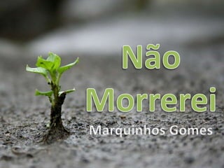 Marquinhos Gomes - Não Morrerei Versão 1