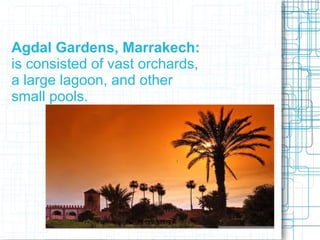 Agdal Gardens, Marrakech:
is consisted of vast orchards,
a large lagoon, and other
small pools.
 