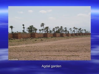 Agdal gardenAgdal garden
 