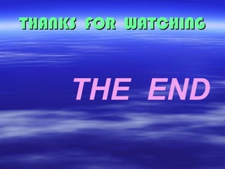 THANKS FOR WATCHINGTHANKS FOR WATCHING
THE END
 