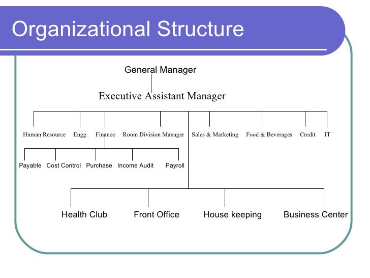 Organization Chart Hotel Hilton