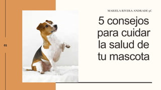 01
MARIELA RIVERA ANDRADE 9C
5 consejos
para cuidar
la salud de
tu mascota
 