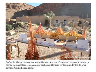 No Sul de Marrocos é normal ver-se tâmaras à venda. Podem-se comprar já prontas a
comer e empacotadas, ou, comprar cachos de tâmaras verdes, que dentro de uma
semana ficarão boas a comer
 