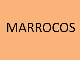 MARROCOS 
 