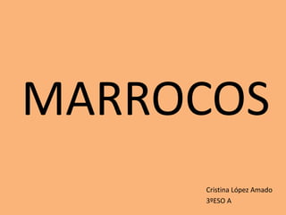 MARROCOS 
Cristina López Amado 
3ºESO A 
 