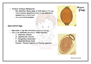 Procolase Cap Marrow IBQ Microbiology Charms_Professor .pdf