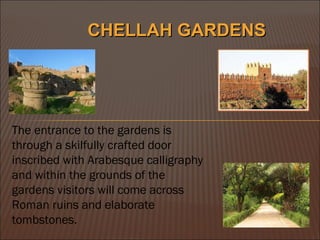 The entrance to the gardens is through a skilfully crafted door inscribed with Arabesque calligraphy and within the grounds of the gardens visitors will come across Roman ruins and elaborate tombstones.  CHELLAH GARDENS 