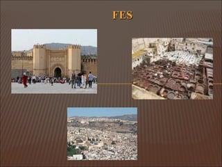 FES 
