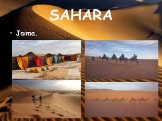 SAHARA
• Jaima.
 