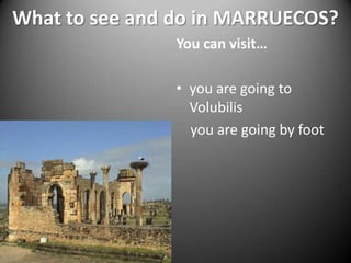 What to see and do in MARRUECOS?You can visit…you are going to Volubilis    you are going by foot