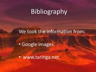 Bibliography
We took the information from:
• Google images.
• www.taringa.net.
 